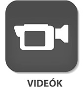 Videk